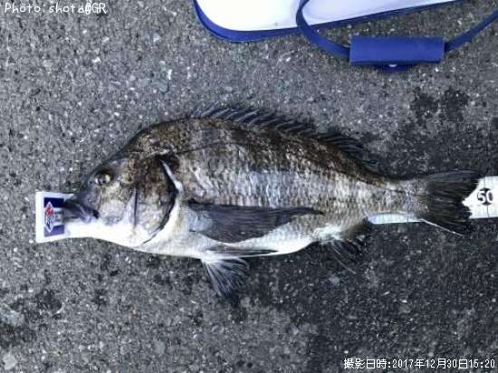 ���䡡�ե���