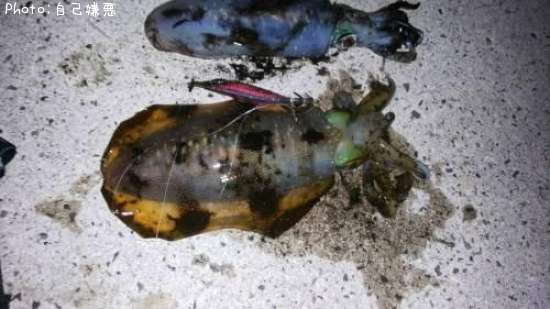 �����ꥤ��