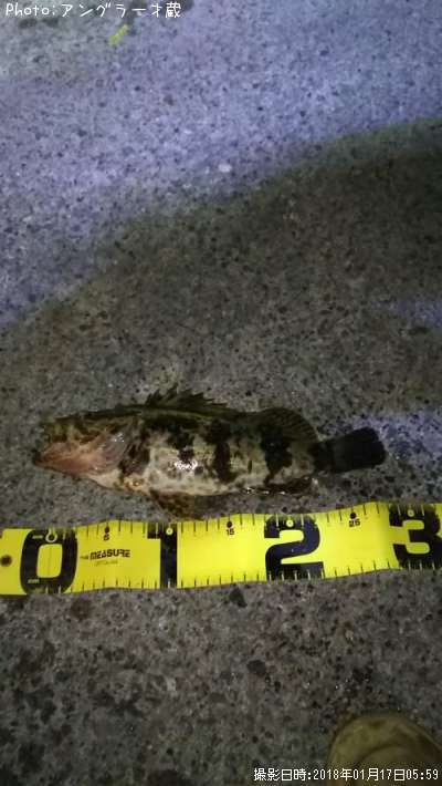 �٥å�������