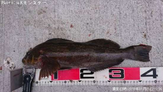 �����ʥ�