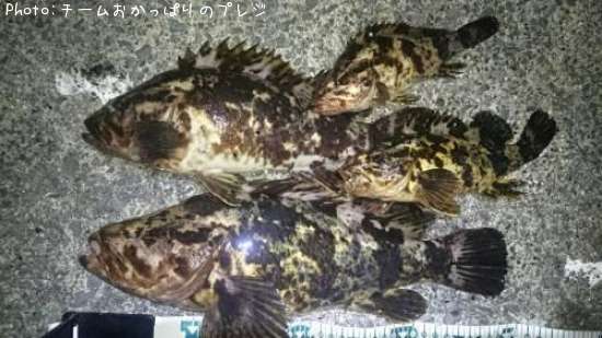 �����Υ���Х�