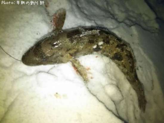 �����ʥ�