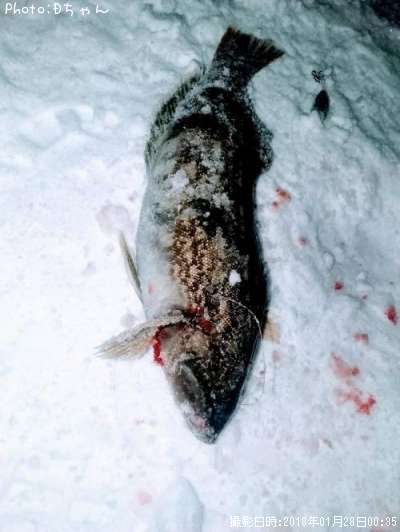 �����ʥ�