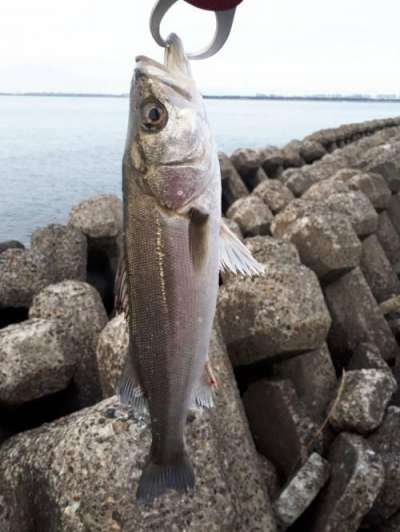 �����Х�