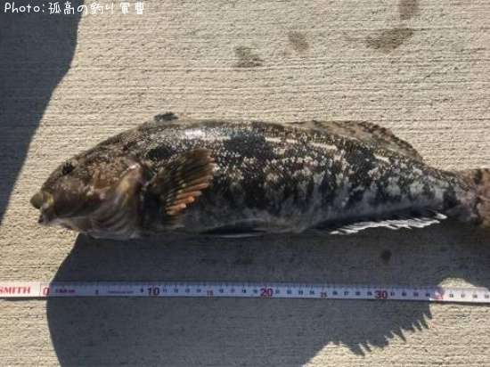 �����ʥ�