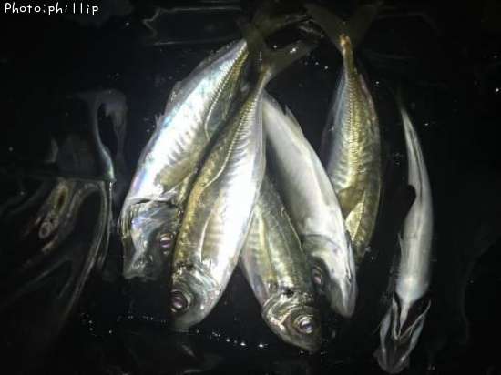 ��������Х�