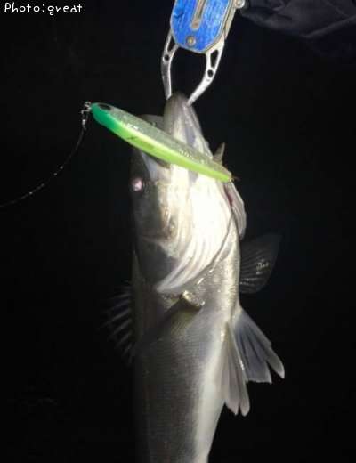 �����Х�