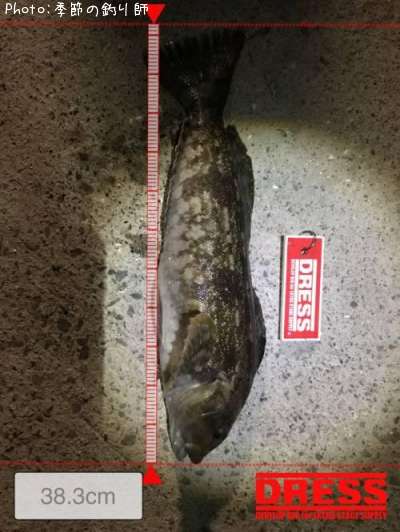 �����ʥ�