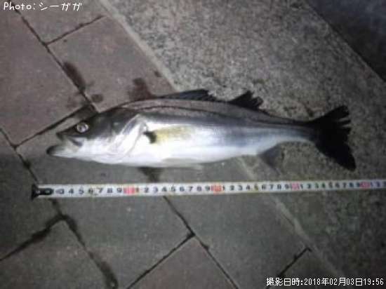 �����Х�