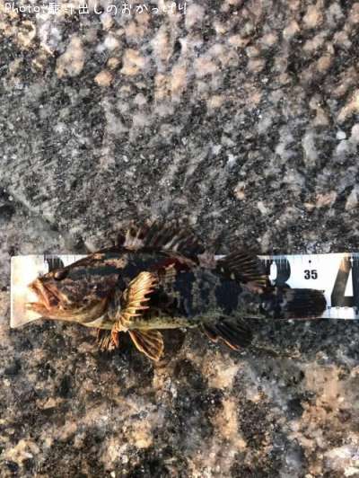 �����Υ���Х�