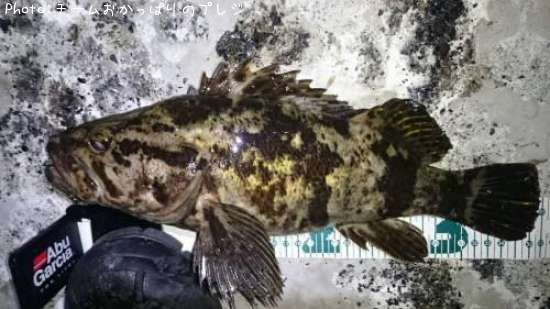 �����Υ���Х�