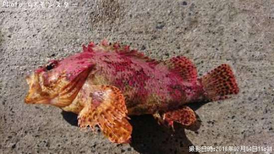 �������Х�