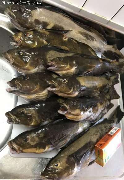 �����ʥ�