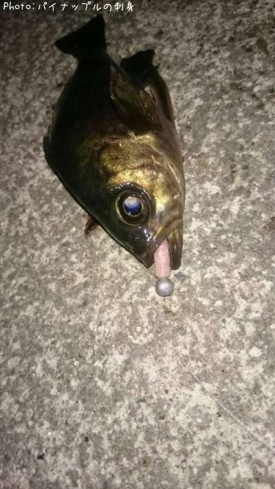 ��Х�
