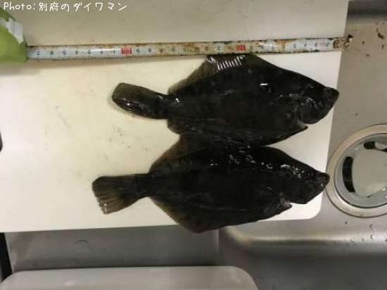 �ޥ����쥤