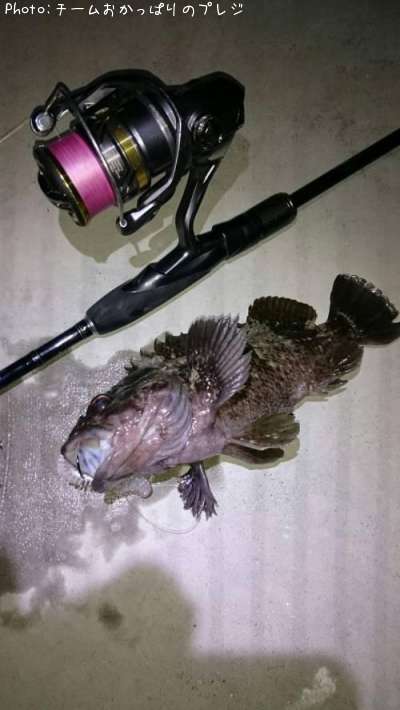 ��饽��