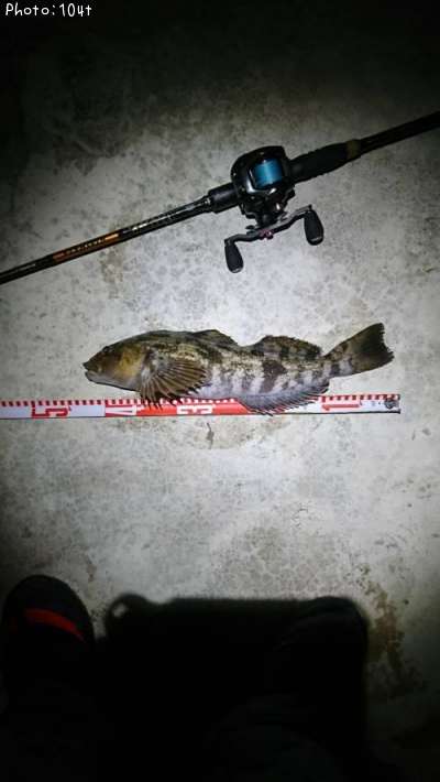 �����ʥ�