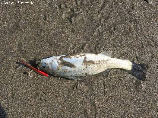 �����Х�