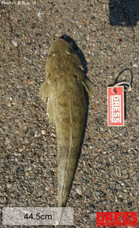 �����̥��̡ڥߥʥߥޥ�����