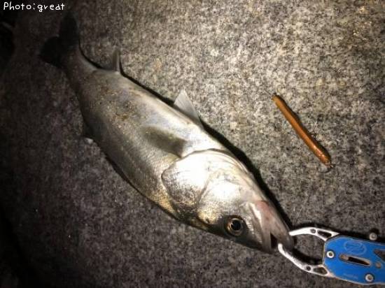 �����Х�