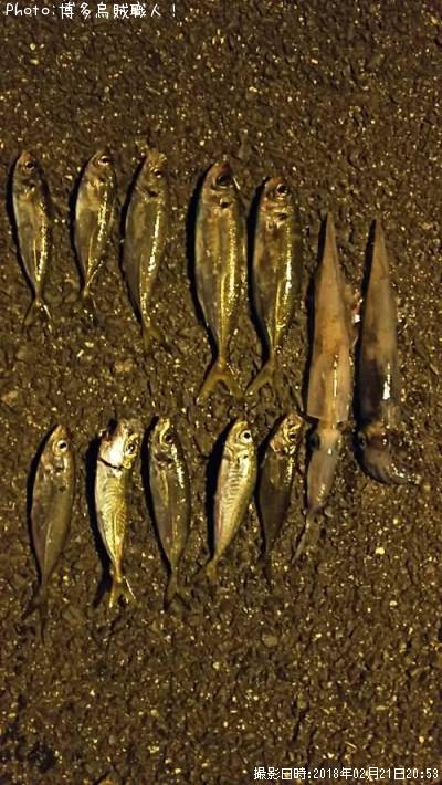 ��������ꥤ��