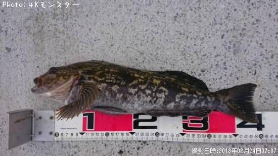 �����ʥ�