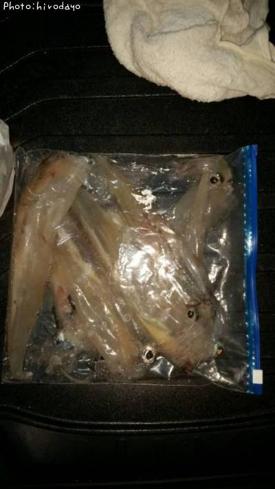 ��ꥤ������