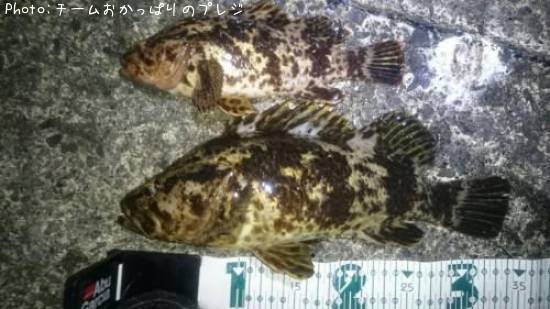 �����Υ���Х�