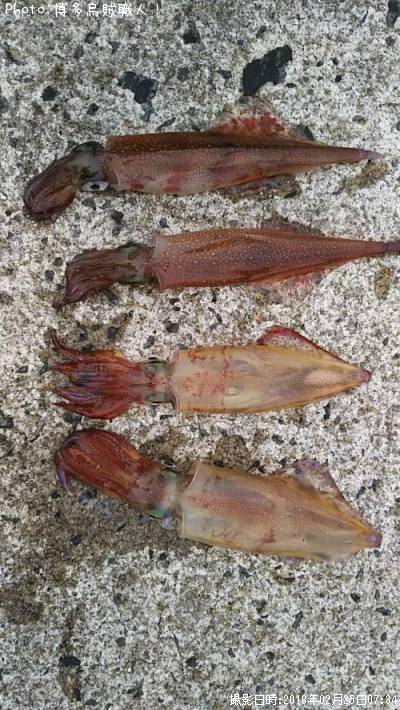 ��ꥤ�������󥵥�����