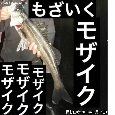 �����Х�