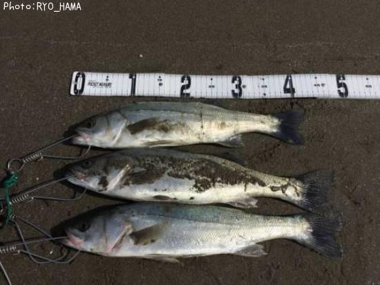 �����Х�