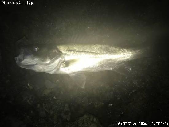 �����Х�