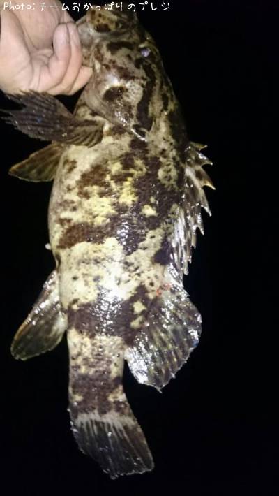 �����Υ���Х�