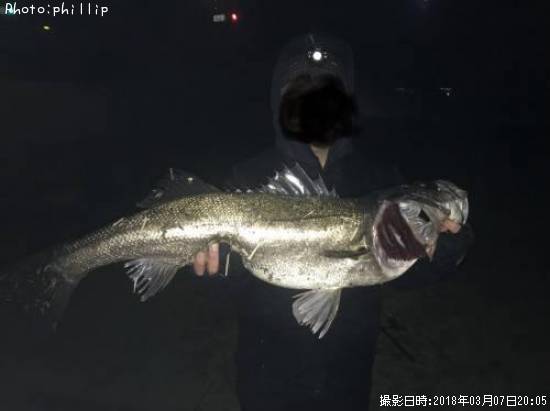 �����Х�