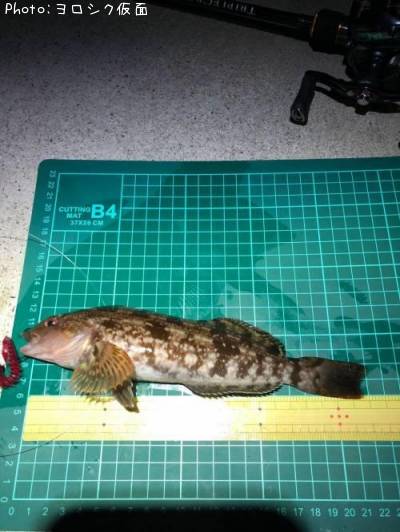 �����ʥ�