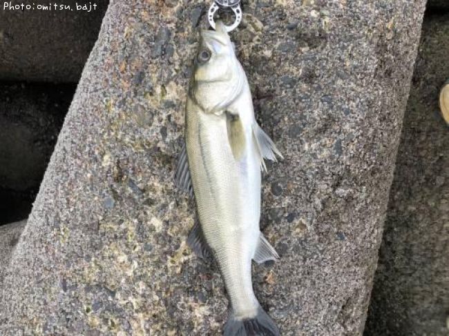 �����Х�