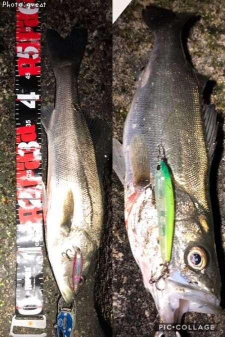 �����Х�