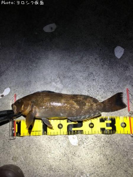 �����ʥ�