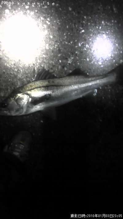 �����Х�