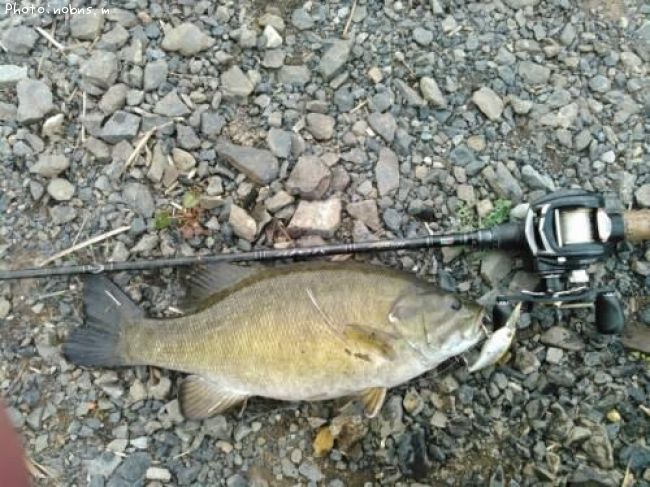 �֥�å��Х�