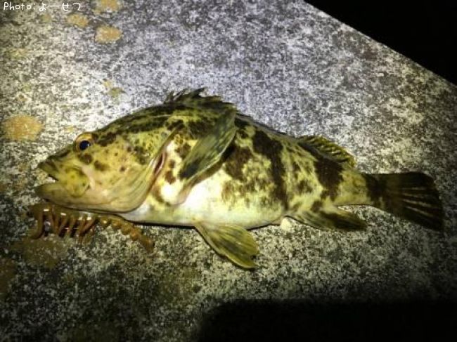 �����Υ���Х�