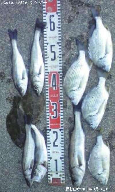 �����������쥤