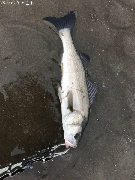 �����Х�