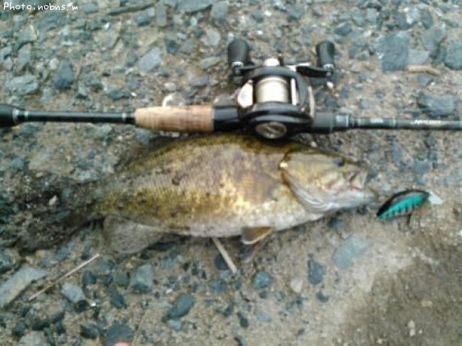 �֥�å��Х�