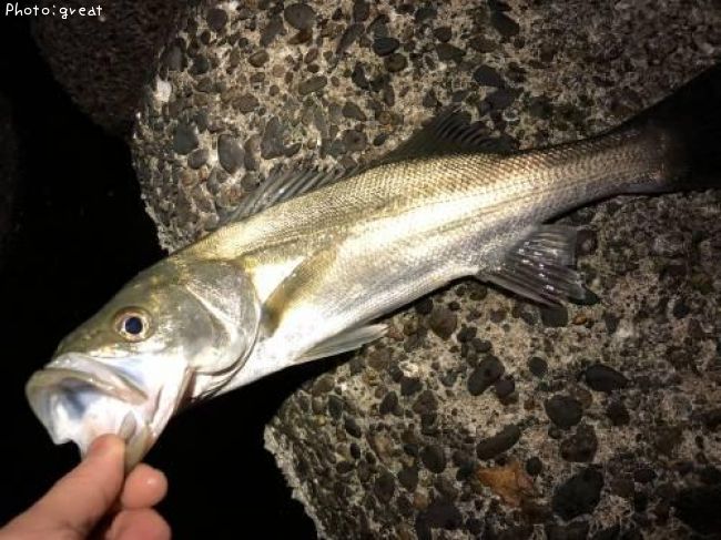 �����Х�