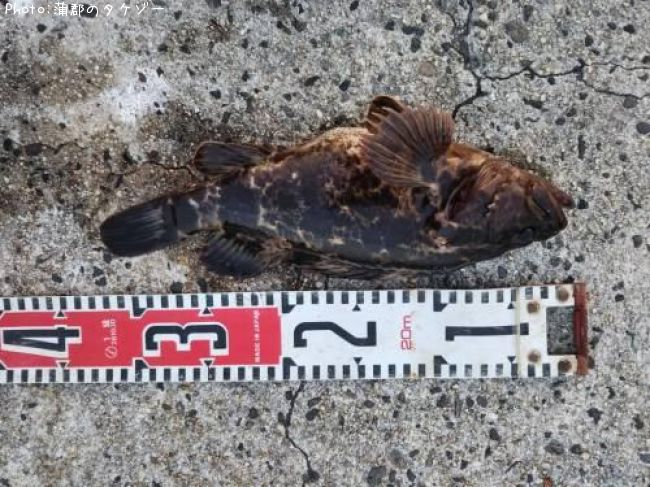 �����Υ���Х�