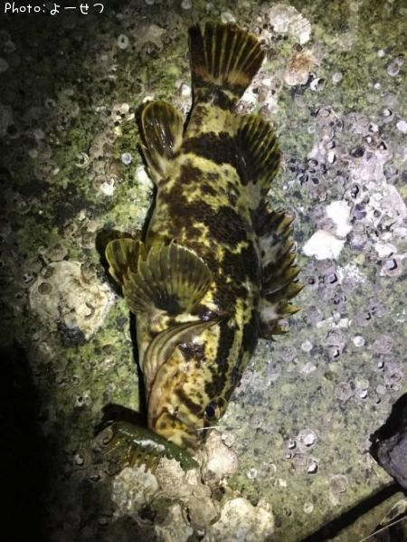 �����Υ�