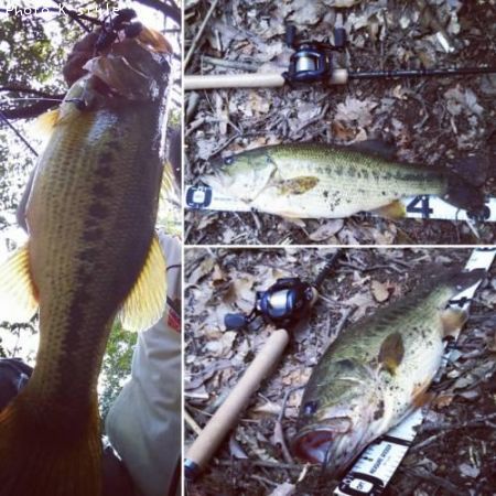 �֥�å��Х�