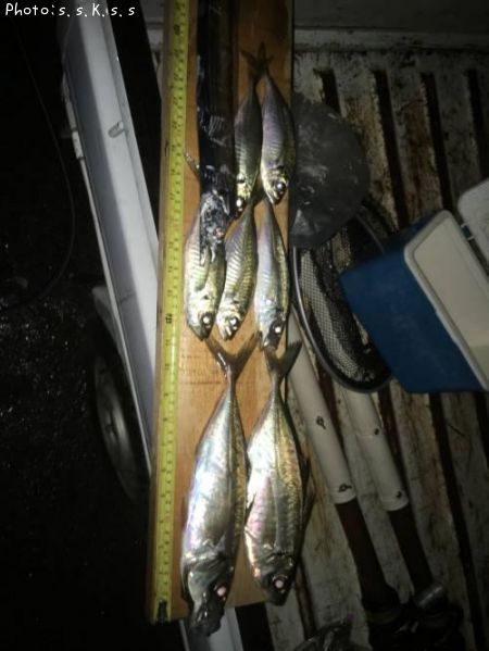 ��������������