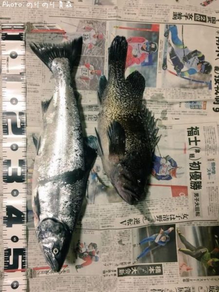 ������ޥ�